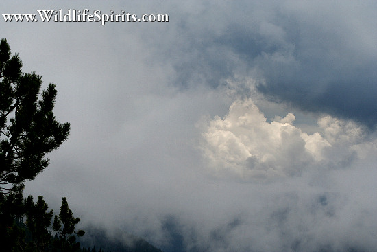 Click Picture to send as an  E-PostCard 66k 550x367